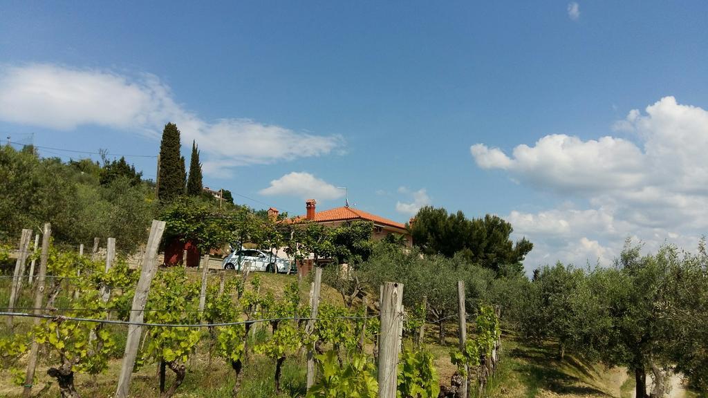Mejak & Bordon Villa Secovlje Exterior photo