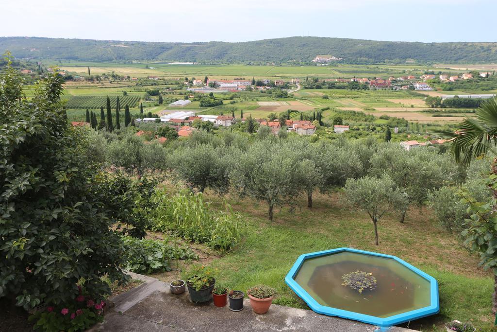 Mejak & Bordon Villa Secovlje Exterior photo